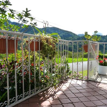 بوكيتي Autana Bed & Breakfast المظهر الخارجي الصورة