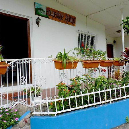بوكيتي Autana Bed & Breakfast المظهر الخارجي الصورة